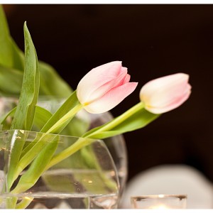 Erin Moulden Photography