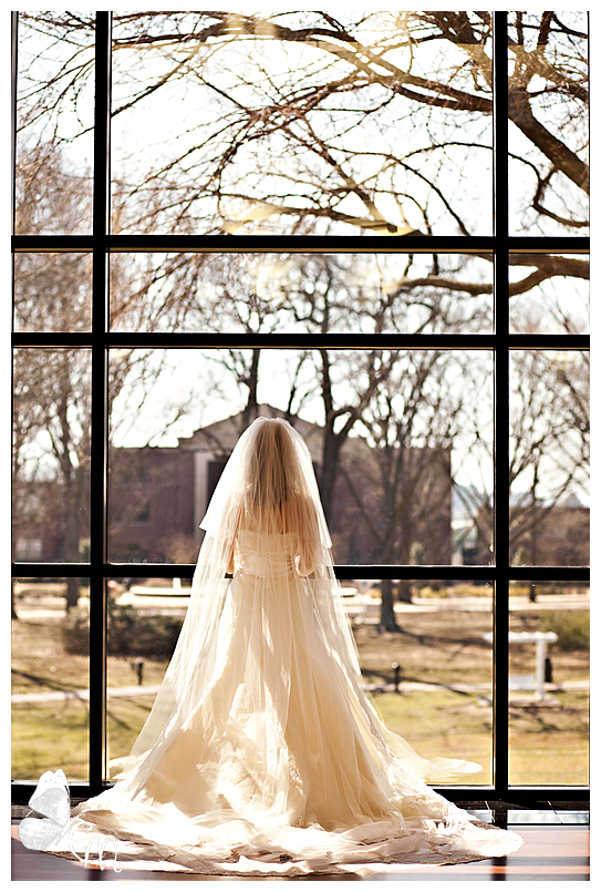 Erin Moulden Photography - Harding University