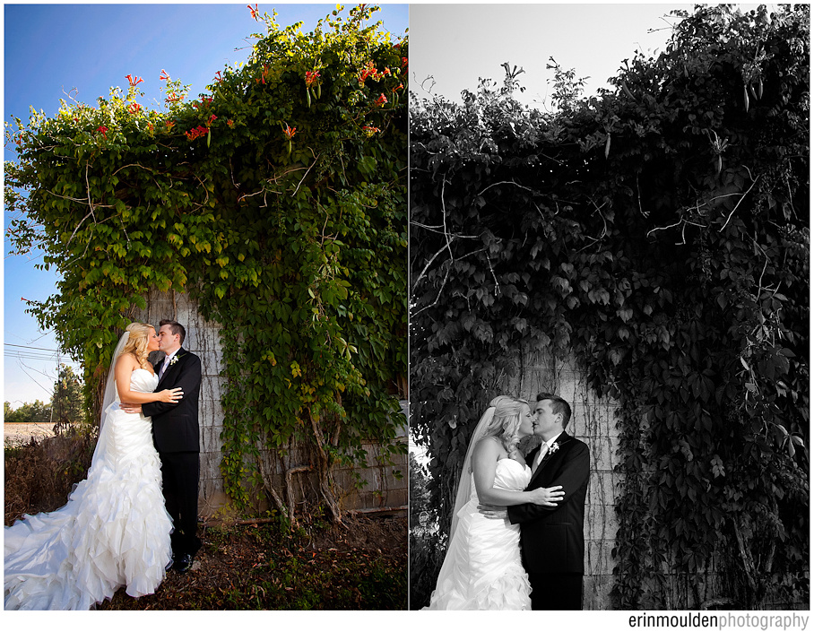 Erin Moulden Photography