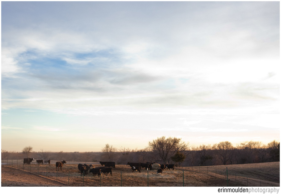 Erin Moulden Photography